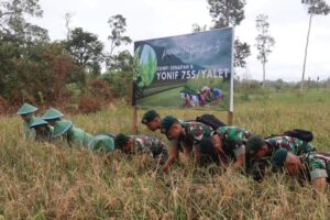 Panen Raya Bantu Program Ketahanan Pangan Pemerintah di Merauke