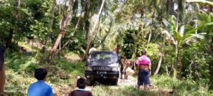 Upaya Pemdes Meningkatkan Pendapatan Warga Bangun Jalan Usaha Tani Ini Kata Masyarakat.