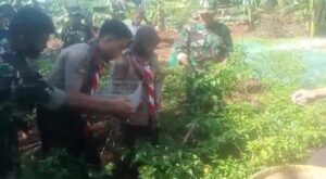 Sosialisasi Urban Farming Kepada Warga dan Siswa-siswi Oleh Koramil Cipayung