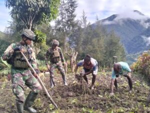 Bantu Masyarakat Pedalaman Papua dengan Bercocok Tanam