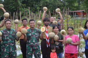 Dandim 1710/Mimika Pimpin Panen Tanaman Melon Di Lahan Kodim