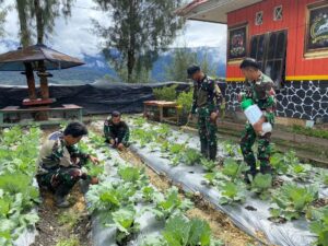 Program dukung Ketahanan Pangan dengan Menanam Sayur-Mayur