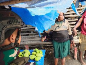 Satgas Yonif 323 Kostrad Borong Hasil Tani Mama Papua di Puncak