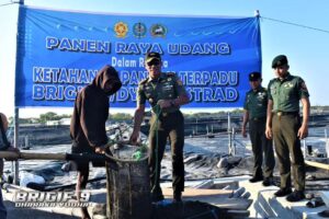Panen Raya Udang Dalam Rangka Ketahanan Pangan Terpadu Brigif 9 Kostrad