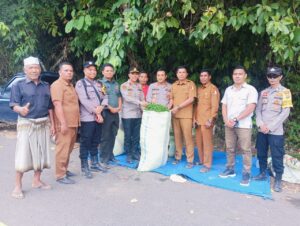 Kapolres Nagan Raya Tinjau dan Panen Raya Kebun Cabai di Beutong Ateuh Banggalang