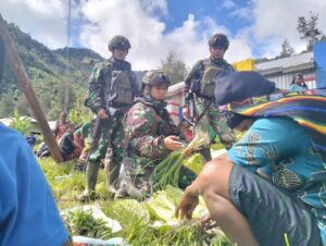 Yonif 323 Buaya Putih Tingkatkan Perekonomian Masyarakat Beoga