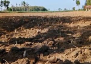 Jelang Musim Kemarau, Masyarakat Pinta Pemkab Lampung Tengah Beri Langkah Nyata