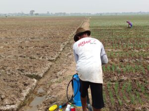 Urban Farming di Sukatani Terus Berkembang