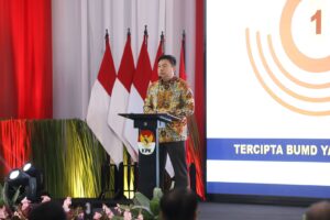 Tingkatkan Perekonomian Daerah, Kemendagri Dorong BUMD Manfaatkan Peluang Kerja Sama