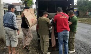 Satpol PP Pemalang Evakuasi Pria Tergeletak Di Pinggir Jalan 