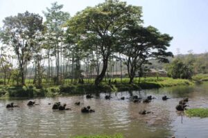 Tingkatkan Kemampuan Tempur Prajurit, Yonarhanud 2 Kostrad Laksanakan Proglatsi Sistem Blok Medan Khusus