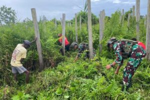 Peduli Lingkungan, Satgas Yonif 503 Kostrad Bersama Masyarakat Bersihkan Area Jalan Desa Mumugu