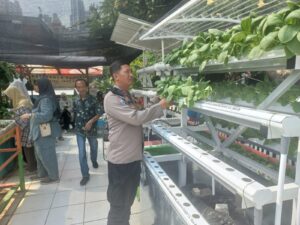 Tiga Pilar Kelurahan Kebon Kacang Program Ketahanan Pangan Panen Hidroponik