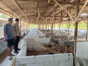 Dukung Ketahanan Pangan, Kapolsek Sedong Sambangi Kelompok Tani dan Pemilik Lahan