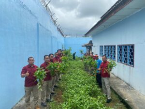 Panen Sayur Kangkung Oleh Kalapas Sungailiat Dalam Rangka Ketahanan Pangan.