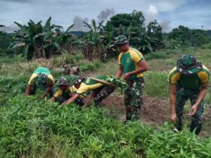 Satgas Pamtas Yonarmed 11 Kostrad Wujudkan Kemandirian Pangan di Perbatasan