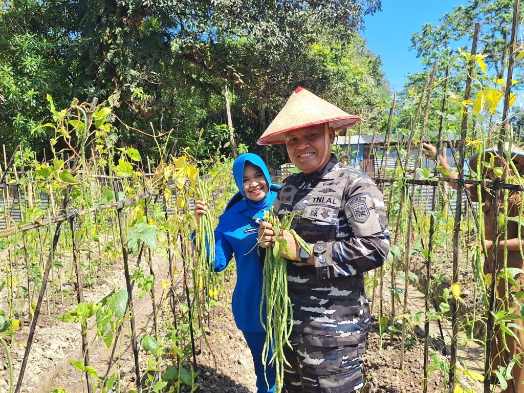 Danlanal Simeulue Beserta Ketua Cabang 8 Korcab I DJA I Laksanakan Panen Raya Serentak Program Ketahanan Pangan Tahun 2025 Secara Vicon