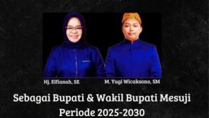 Mimpi Masyarakat, Elfiana-Yugi Tetap Melegang Ke Istana Presiden