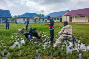 Satgas Yonif 503 Kostrad Ikuti Uji Kenaikan Tingkat Beladiri di Wilayah Nduga