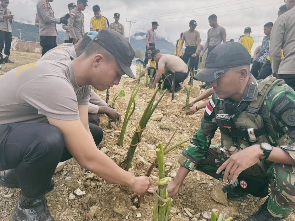 Satgas Yonif 509 Kostrad Turut Berpartisipasi Dalam Penanaman Ubi dan Keladi Serentak Bersama Polres Intan Jaya dan Aparat Keamanan