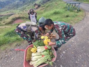 Satgas Yonif 509 Kostrad Laksanakan Kegiatan ‘Rosita’ di Tk Mamba, Dukung Perekonomian Warga