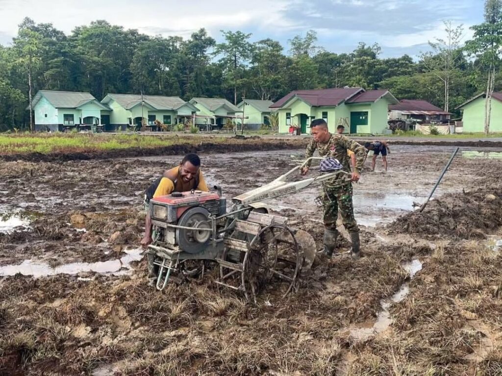 Yonif 754 Kostrad Ubah Lahan Kosong Jadi Kebun Sayur dan Buah untuk Ketahanan Pangan