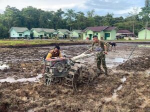Yonif 754 Kostrad Ubah Lahan Kosong Jadi Kebun Sayur dan Buah untuk Ketahanan Pangan