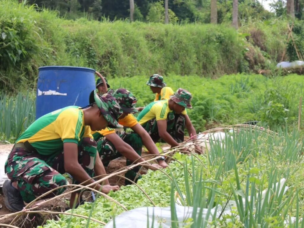 Yonif 303 Kostradi Manfaatkan Lahan Tidur untuk Program Ketahanan Pangan