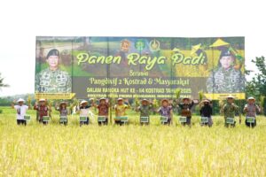 Divif 2 Kostrad Gelar Panen Raya Padi dan Jagung, Wujud Nyata Dukung Ketahanan Pangan Nasional