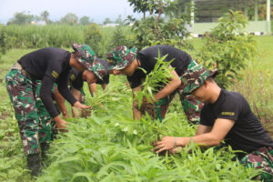 Berkah Ramadhan, Prajurit Yonarmed 1 Kostrad Bagikan Hasil Panen Sayur Sawi dan Kangkung