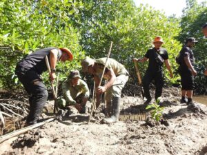 Penanaman Mangrove Kodim 1510/Sula: Langkah Konkret Menjaga Ekosistem Pantai dalam rangkaian Program TMMD Ke-123 di Desa Mangega
