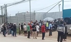Ratusan Petani di Pemalang Merasa Di PHP Pemerintah Akhirnya Geruduk Pabrik Sepatu 