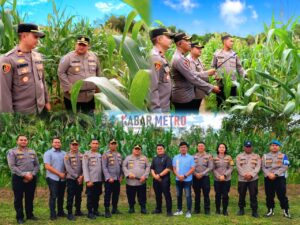 Kapolres Belitung Tinjau Lahan Ketahanan Pangan Dukung Program 1 Juta Hektare, Panen Dijadwalkan Mei 2025