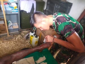 Tanggap dan Peduli, Prajurit Yonif 501 Kostrad Bantu Obati Warga Maybrat