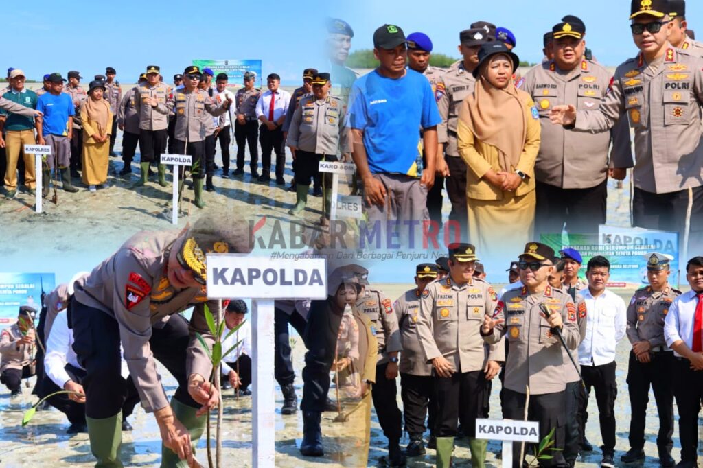 Kapolda Babel Tanam Mangrove di Pantai Teluk Belanga, Wujudkan Ketahanan Bumi Serumpun Sebalai