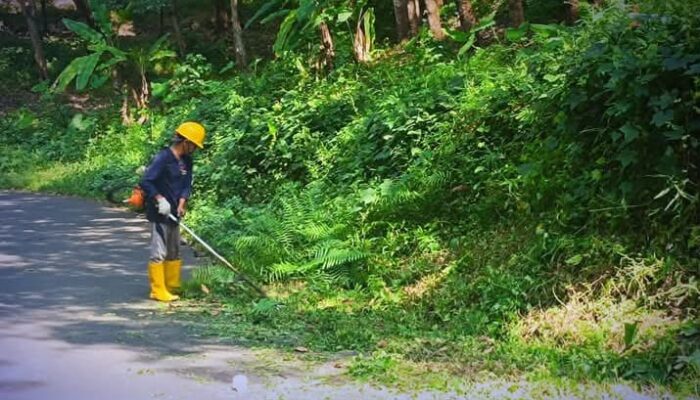 Dinas Pekerjaan Umum Melakukan bersih.bersih rumput liar di bahu jalan