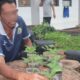 Kebun Stroberi Lapas Banjarmasin Tumbuhkan Harapan Baru Warga Binaan