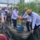 Menteri Kemenimipas Dukung Budidaya Lele Di Lapas Sebagai Wujud Pemasyarakatan Konstruktif