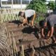 Wali Pemasyarakatan Apresiasi Inisiatif Berkebun Warga Binaan Lapas Banjarmasin