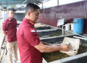 Kalapas Narkotika Karang Intan Apresiasi Semangat WBP Dalam Budidaya Lobster Air Tawar