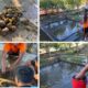 Supian, Warga Binaan Lapas Banjarmasin Yang Telaten Rawat Kolam Lele Harapan
