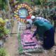 Peringati HUT ke-58, Danyonif 411 Kostrad Pimpin Ziarah ke Makam Prajurit Yang Gugur di Medan Tugas