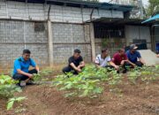 Lapas Narkotika Karang Intan Kembangkan Kemandirian Warga Binaan Melalui Penanaman Kedelai