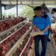 Lapas Narkotika Karang Intan Panen Telur Ayam Sebagai Hasil Program Kemandirian Warga Binaan