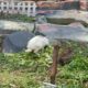 Lapas Narkotika Karang Intan Tinjau Mini Zoo LASKARIN Sebagai Media Pembinaan Edukatif