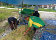 Prajurit Yonif 754 Kostrad Turun ke Sawah: Menang di Medan Tugas, Menang di Hati Rakyat