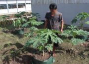 Maulana, Warga Binaan Lapas Banjarmasin Tekuni Berkebun Di Tengah Masa Pembinaan