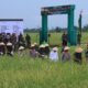 TNI Wujudkan Aksi Nyata, Dukung Ketahanan Pangan Nasional
