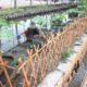 Taman Kecil Di Blok Echo Jadi Simbol Harapan Bagi Warga Binaan Lapas Banjarmasin