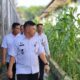 Kebun Jagung Lapas Banjarmasin Di Area Brandgang Jadi Bukti Pemanfaatan Lahan Secara Produktif